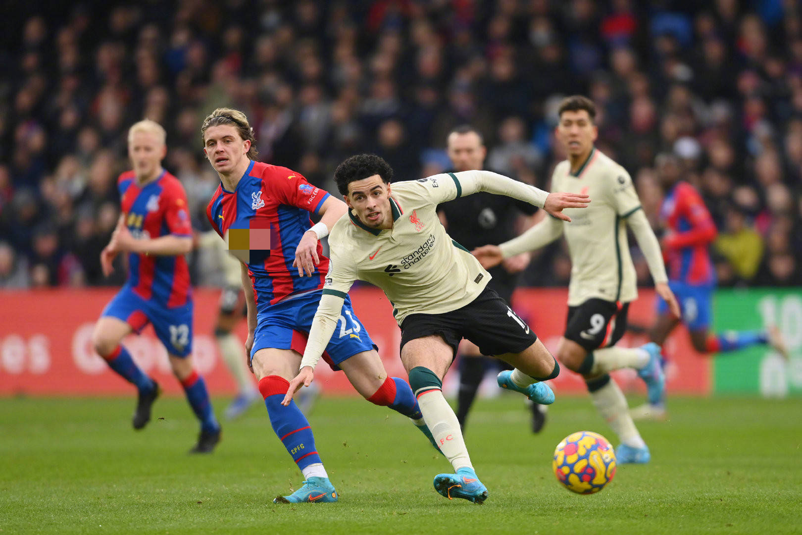 练计划中 练计划中